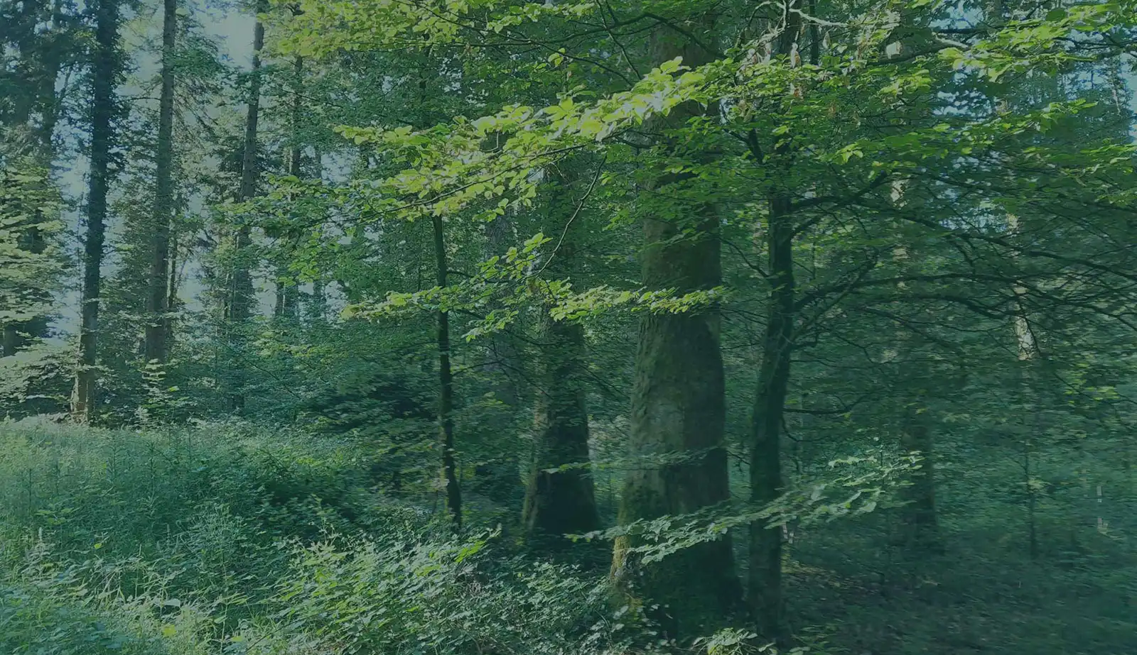 bourgogne-franche-comte-2-1600-F