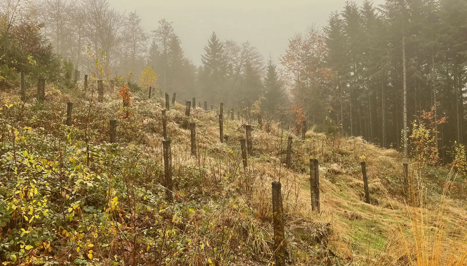 plantation-2-alain-scaled-1600-F