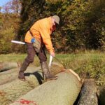 vente de bois d'oeuvre feuillu