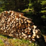 vente de bois de chauffage
