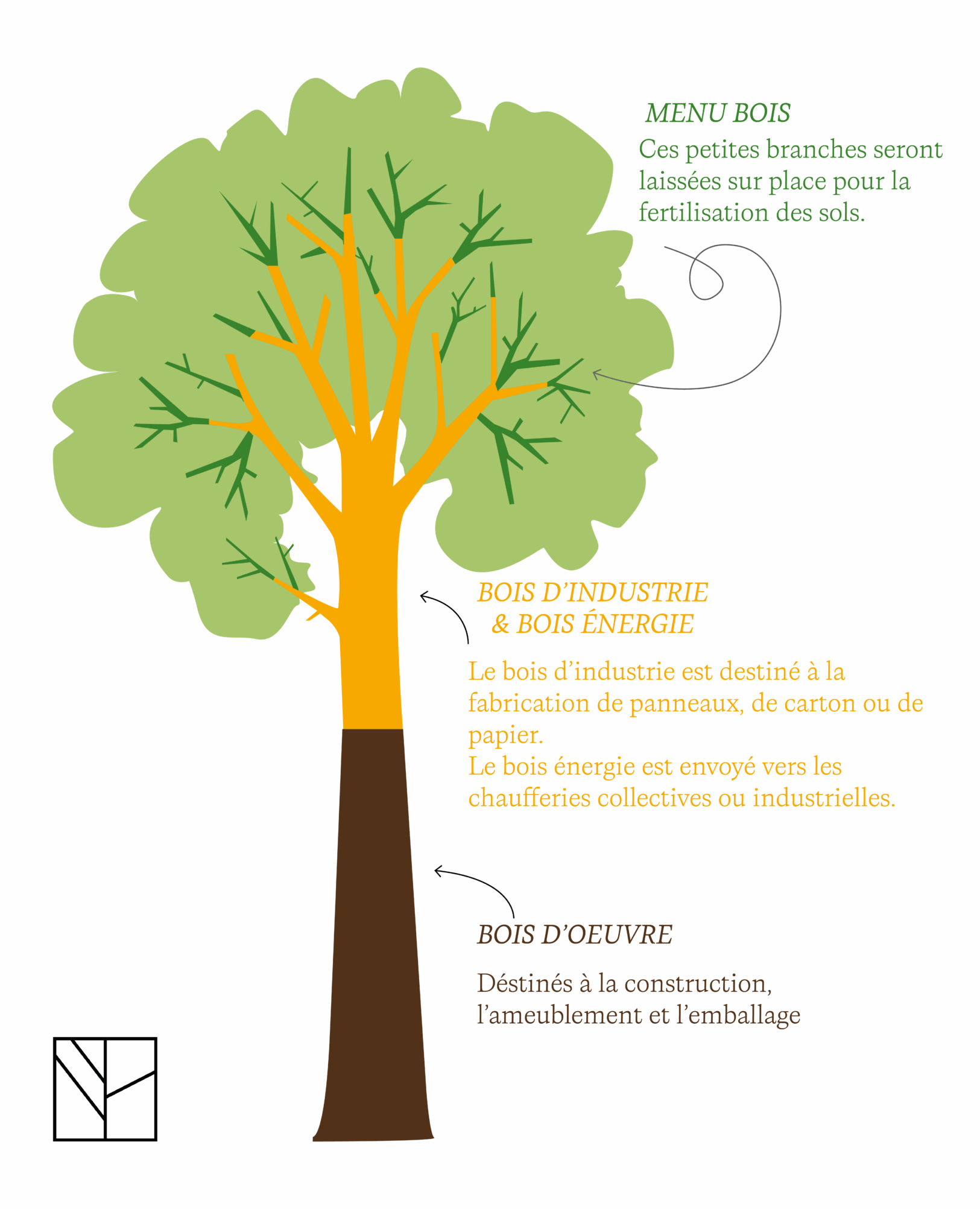 schéma bois